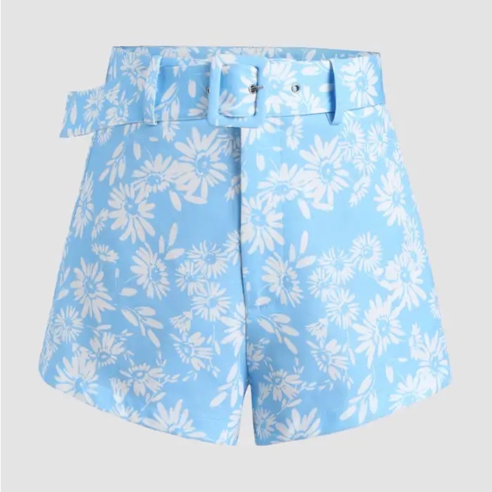 Zara Sz extra small Floral Blue Shorts Hot Pants